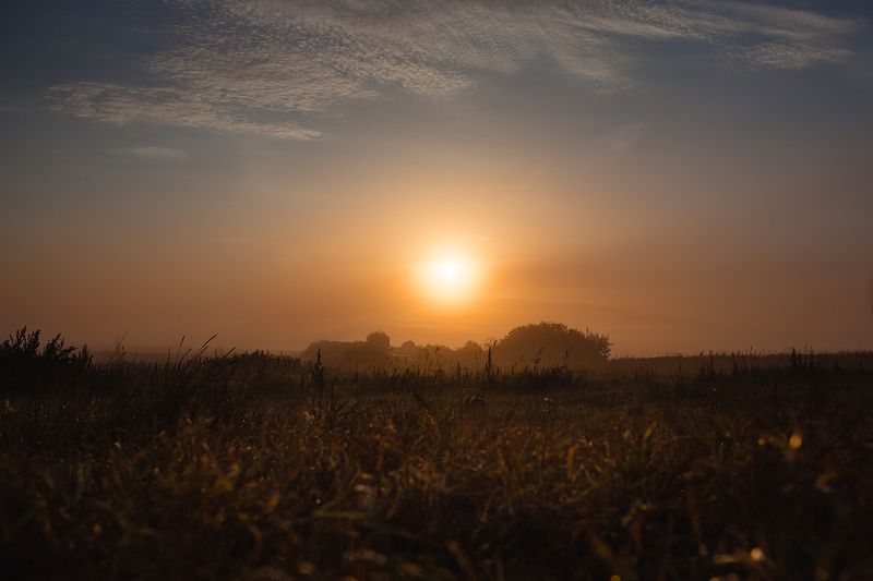 Раннее утроphoto preview