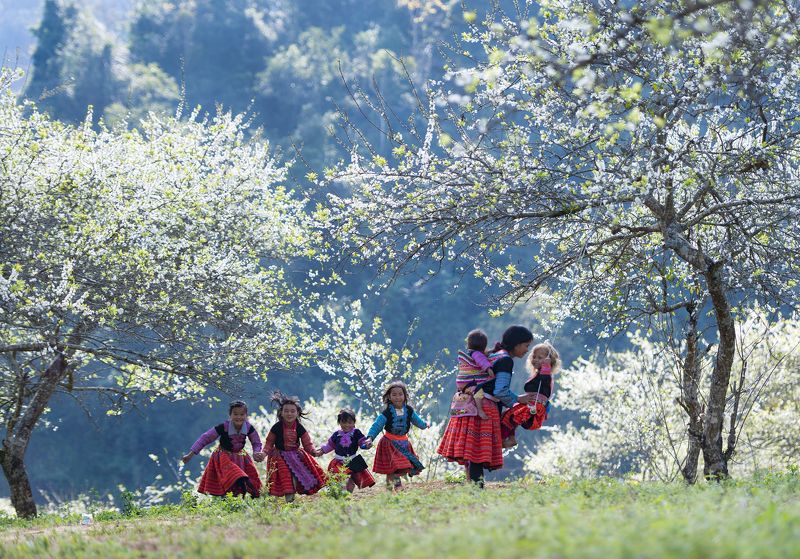 #Moc Chau#Viet Nam#Tet#Mong people Tet nunal time of Mong peoplephoto preview