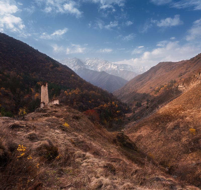 Цори, Заповеник «Эрзи», Ингушетия photo preview