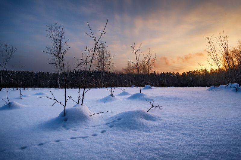 россия, московская область, щепкино болото, болото, восход солнца, рассвет, сумерки, лес, зима, пруд, пейзаж, природа Морозное утроphoto preview