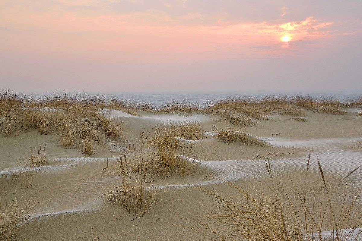 куршская коса, пейзаж, природа, рассвет, Сипаева Катерина