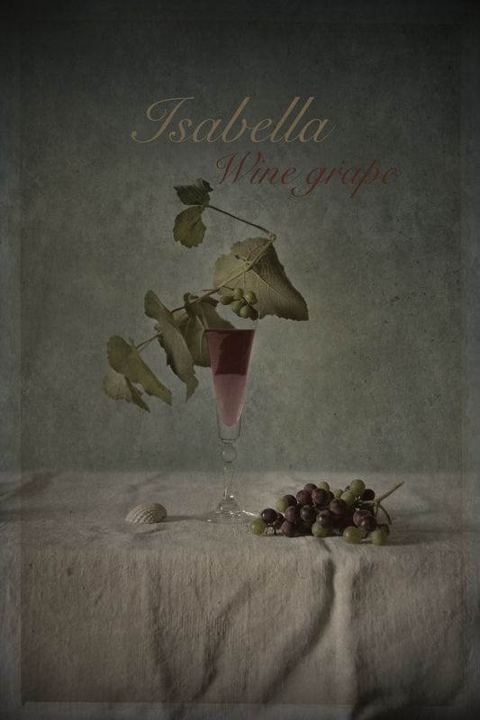 Isabellaphoto preview