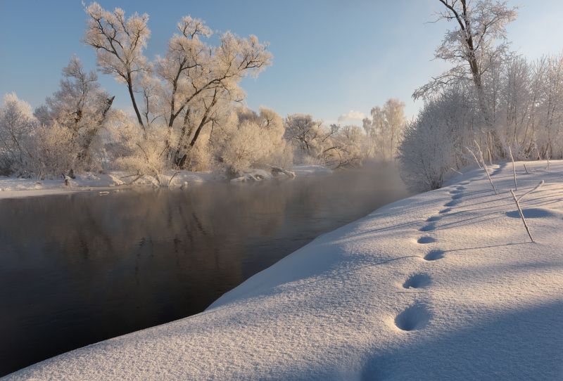 Блестя на солнце, снег лежитphoto preview