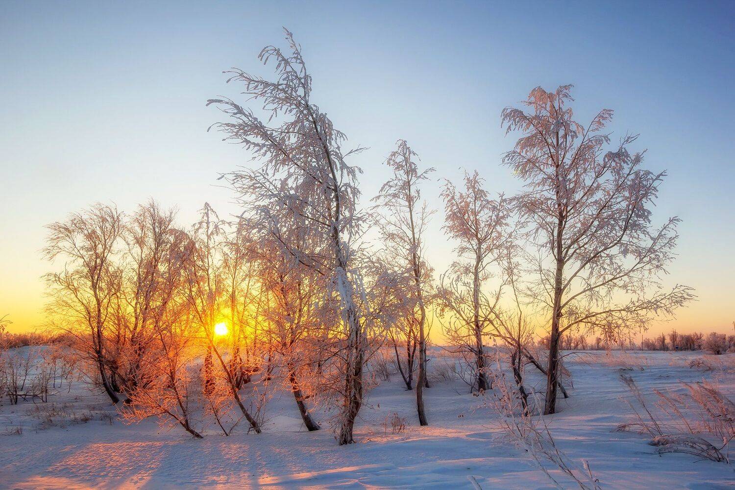 , Павел Сагайдак