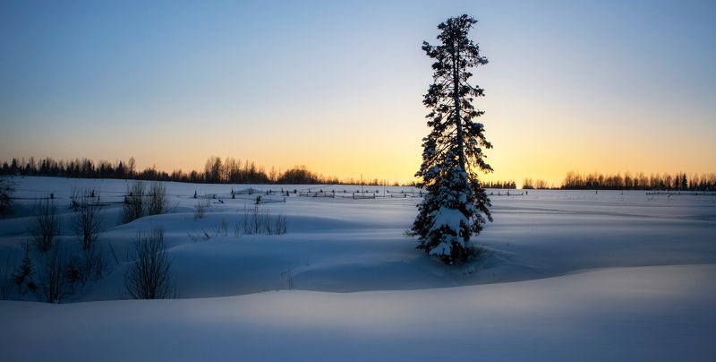 На краю поля.photo preview