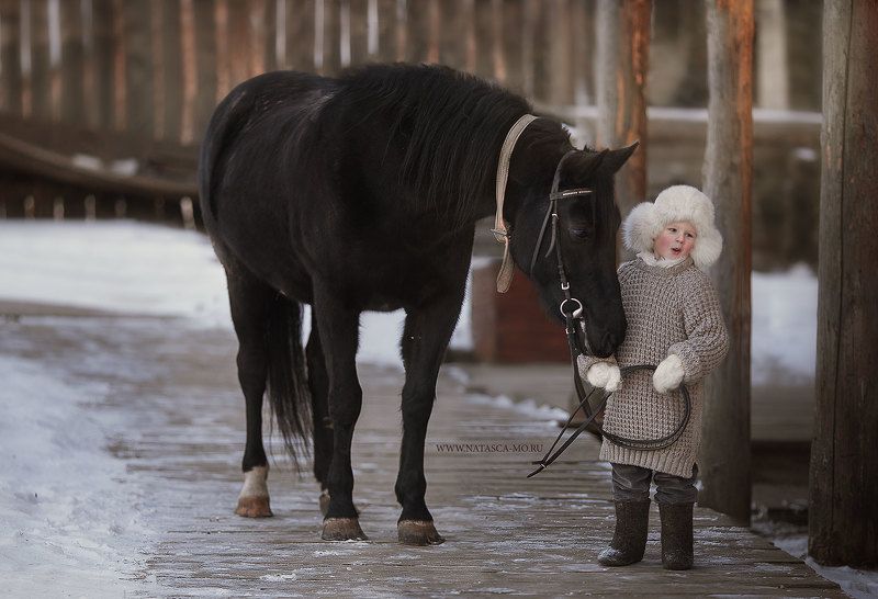 С большим другомphoto preview