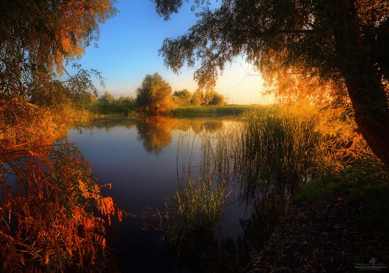 Окно в природуphoto preview