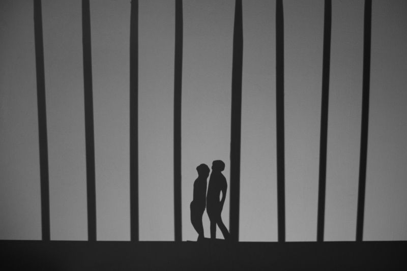 Джунглиphoto preview