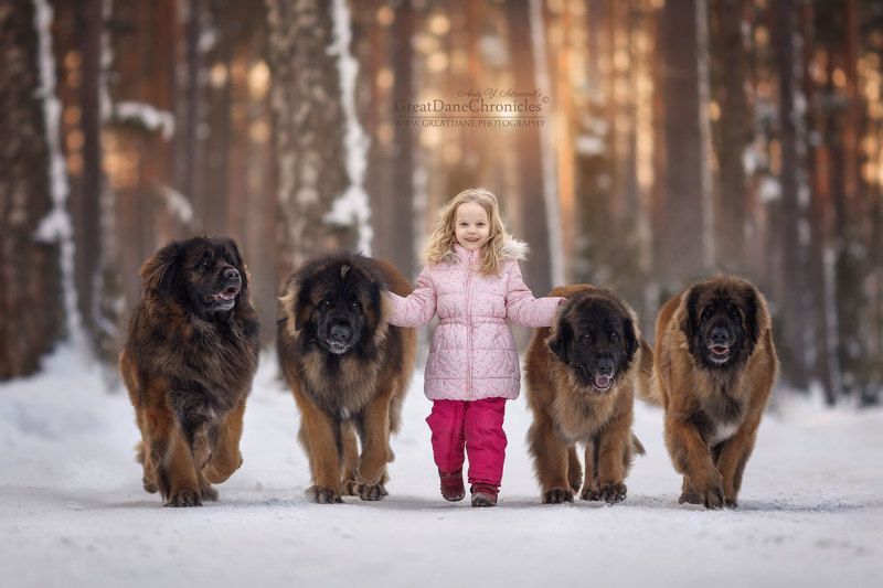 Lisa and her Bodyguardsphoto preview