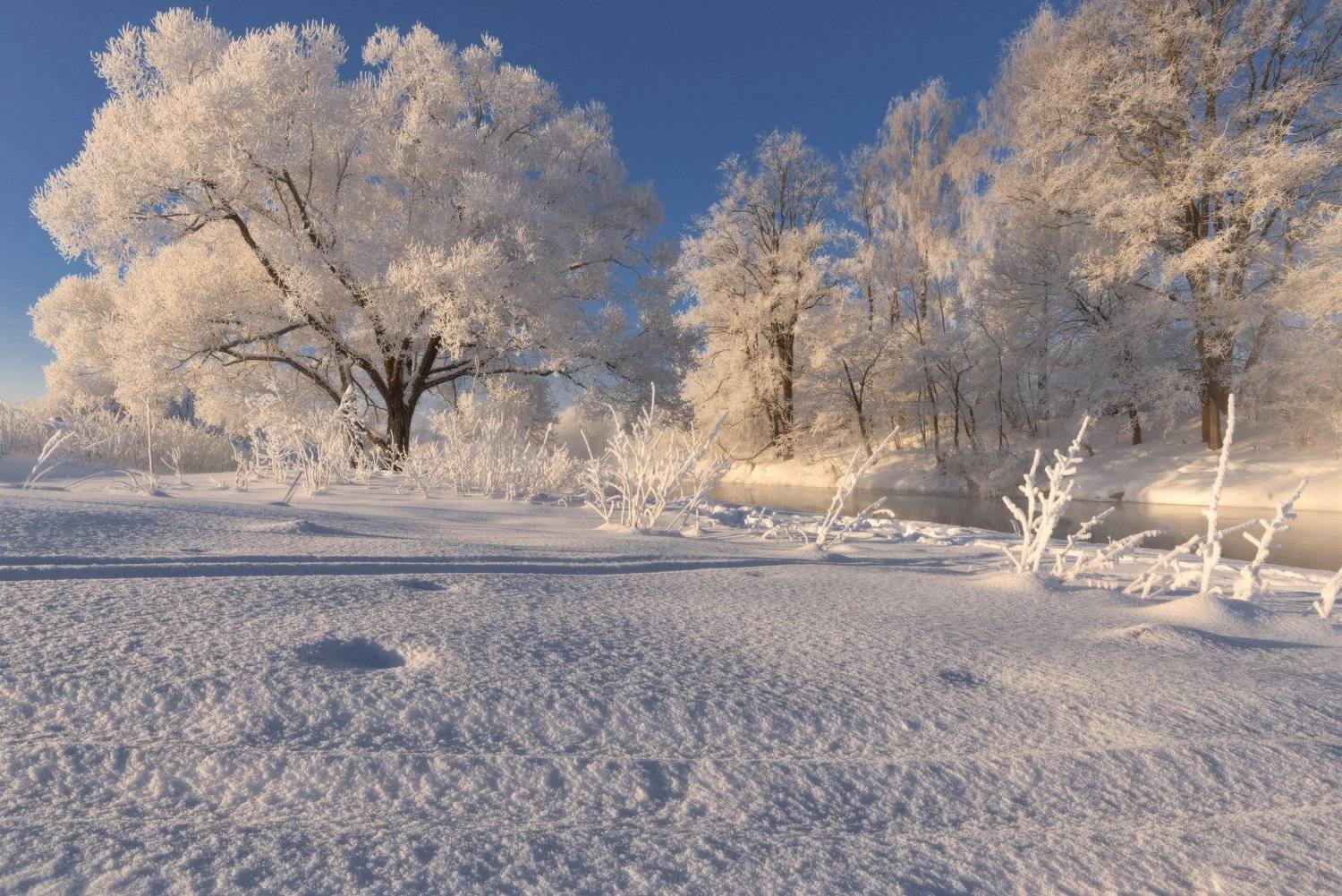 мороз, солнце, снег, свет, иней, Евгений Цап