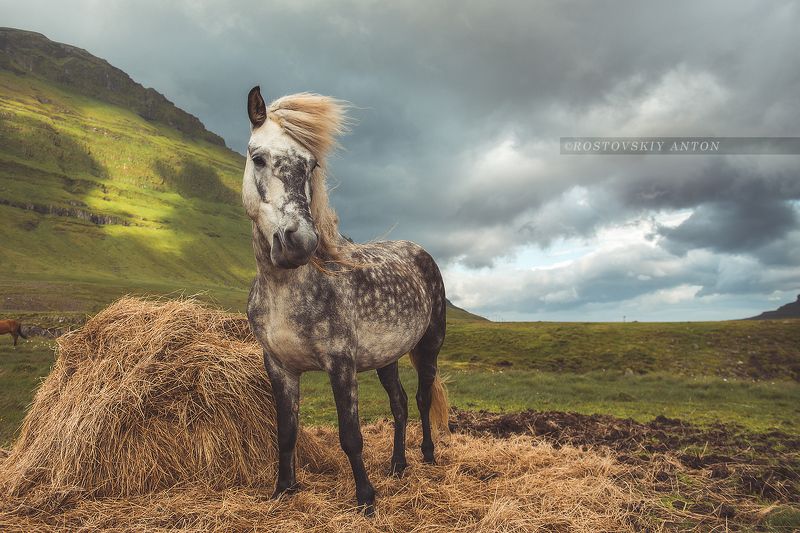 Iceland, Исландия, фототур in Icelandphoto preview