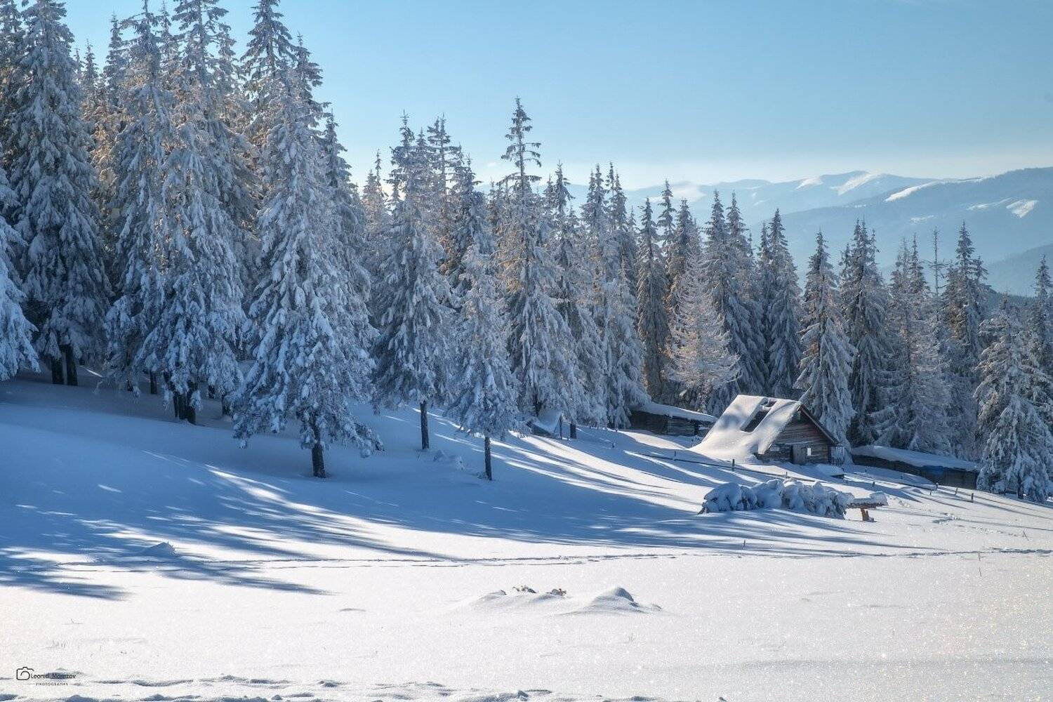 ***. Автор: Леонид Морозов snow., mountain, .glacier.evergreen, .snowfall., ridge, .snowy., slope, .mountain., peak., mountain., range., snowcapped., mt, foraker., Леонид Морозов