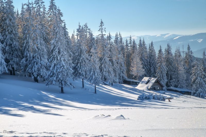 snow., mountain, .glacier.evergreen, .snowfall., ridge, .snowy., slope, .mountain., peak., mountain., range., snowcapped., mt, foraker. ***photo preview