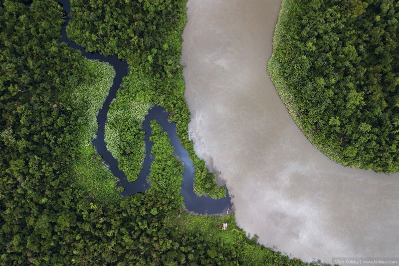 papua, jungle, indonesia, brazza, river, папуа, джунгли, река, индонезия Папуа с высоты птичьего полетаphoto preview