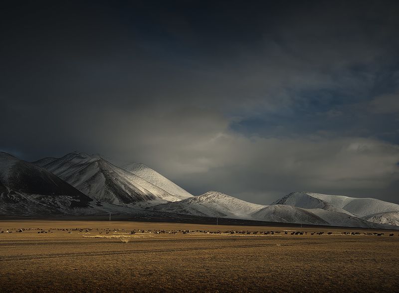 монголия, осень, горы Осенние краски Монголииphoto preview