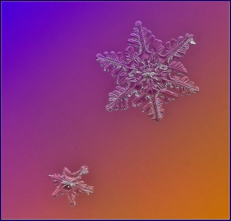 макро,снег,снежинки, Падающие звезды.photo preview