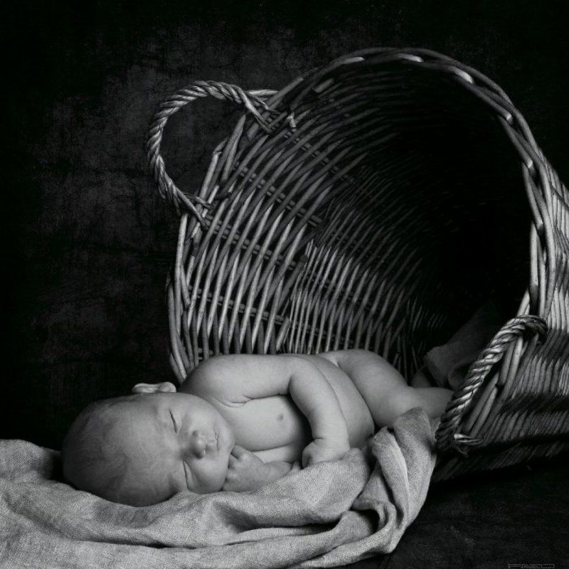 alone .photo preview