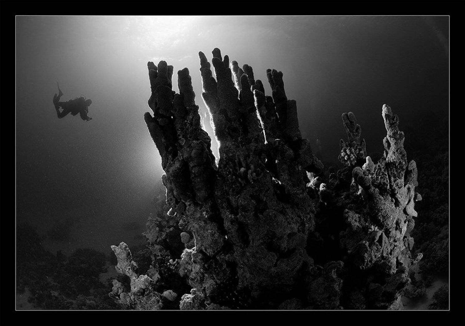 Башни. Автор: Нарчук Андрей свет, коралл, солнце, вспышка, контровик, Нарчук Андрей