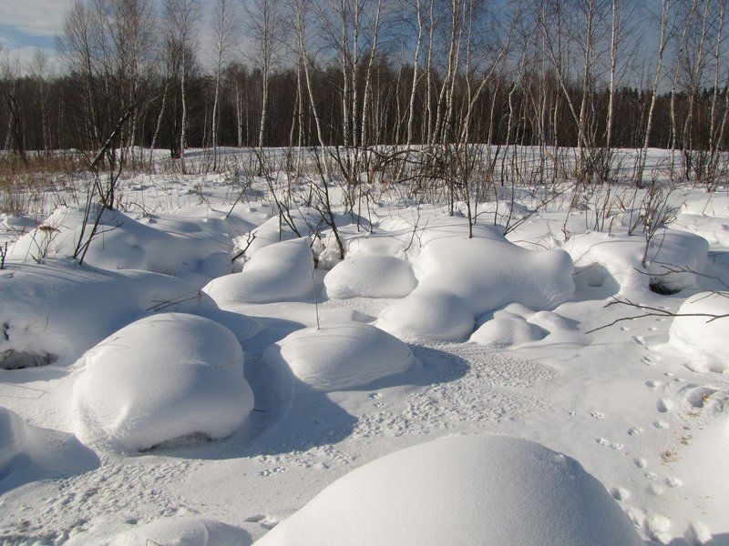 зима, водоем, лосиный остров Зима в Лосином островеphoto preview