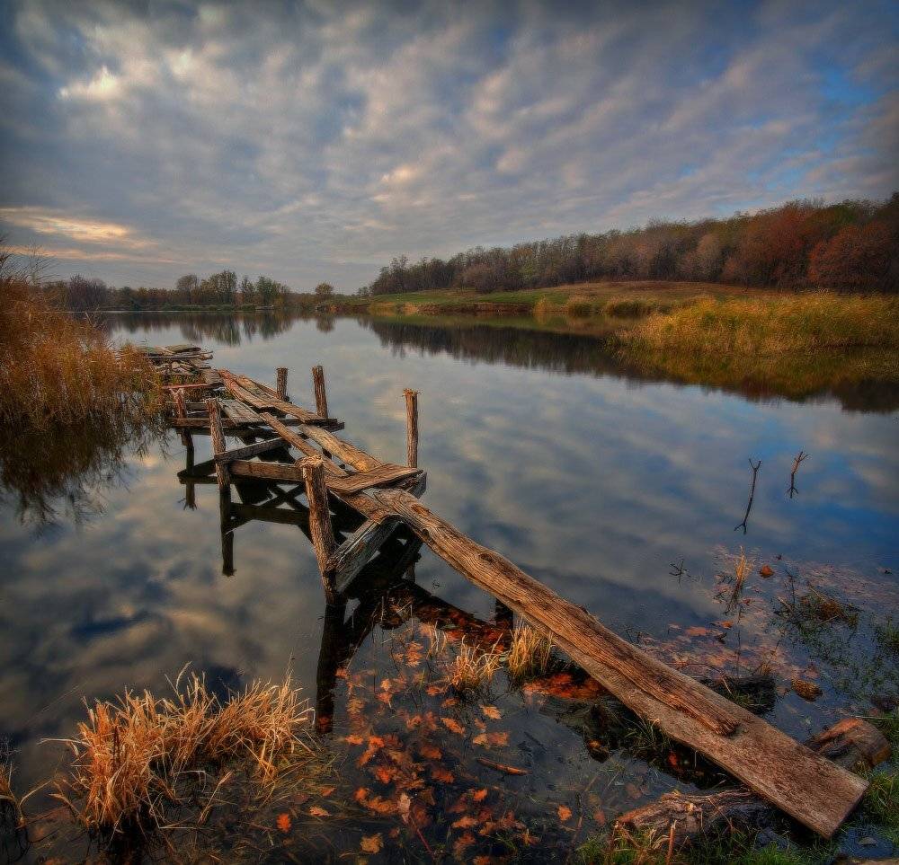 ***. Автор: Петриченко Валерий осень, утро, Петриченко Валерий