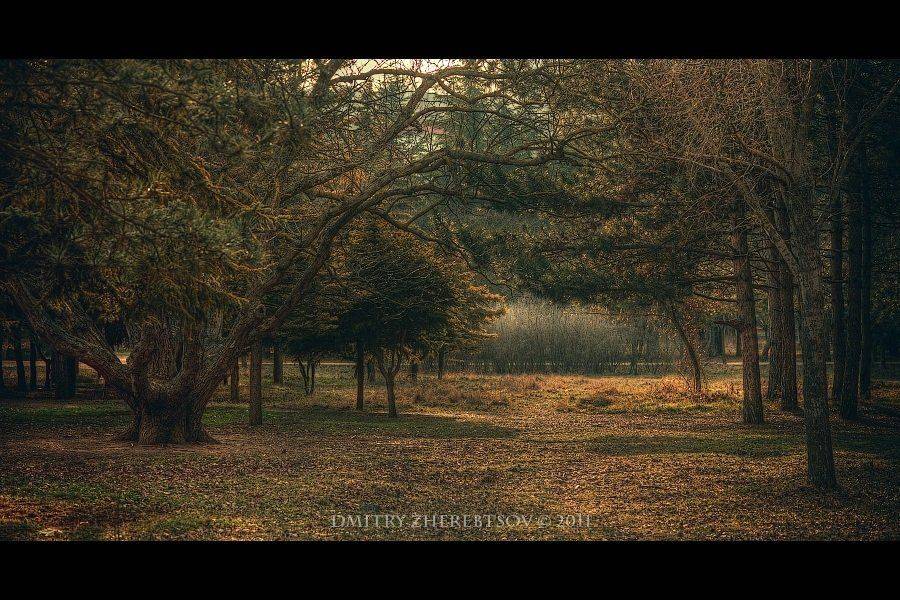 ***. Автор: Dmitry Zherebtsov , Dmitry Zherebtsov