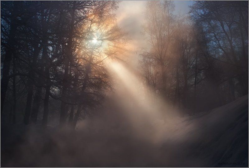 Луч света в царстве туманаphoto preview