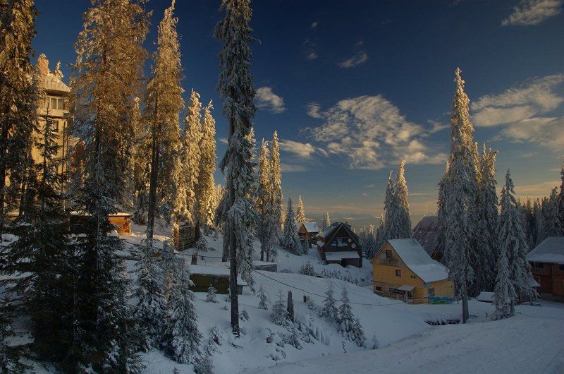 горы, карпаты, зима, утро, снег Драгобрат перед пробуждениемphoto preview