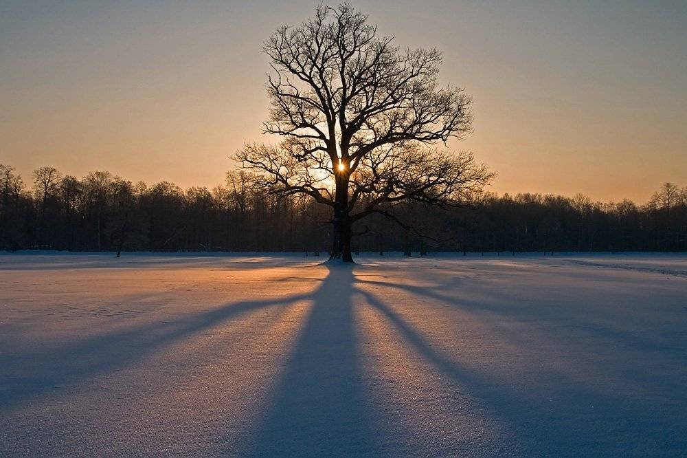 Рассвет в парке Александрия. Автор: Sergey , Sergey