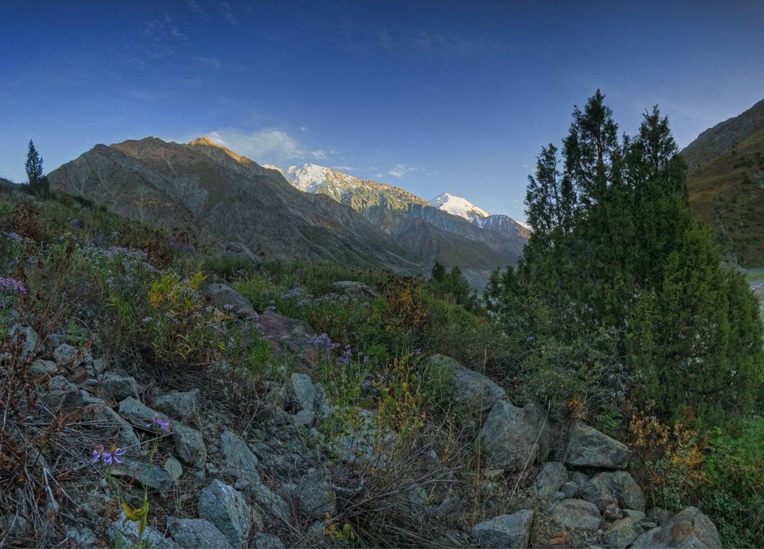 памир 2010, поход, Андрей Chogori Громов