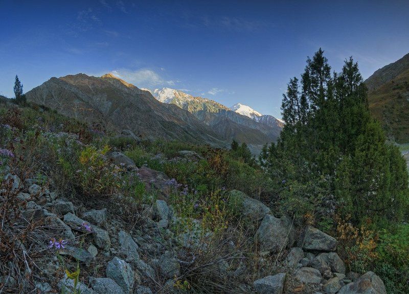 памир 2010, поход Такой разный Памирphoto preview