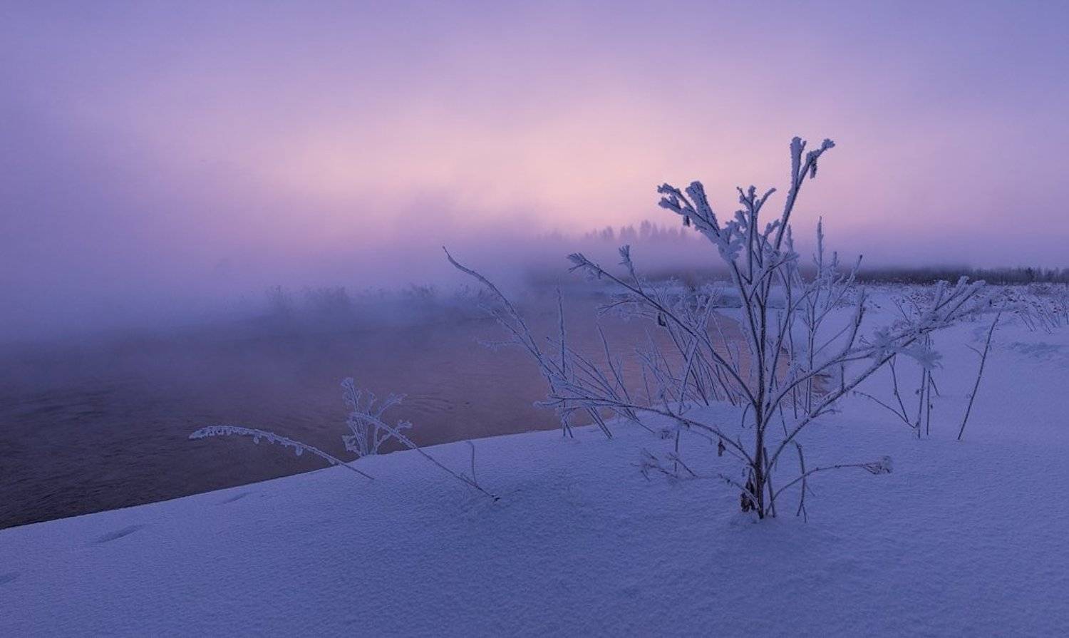 ***. Автор: zapravka2 , zapravka2