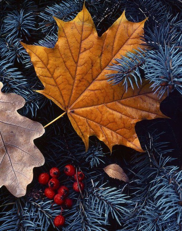 Первая десятка...photo preview