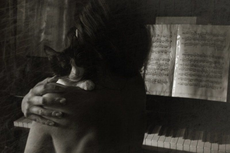 виолончель, девушка, ноты, , музыка История одной любви...photo preview