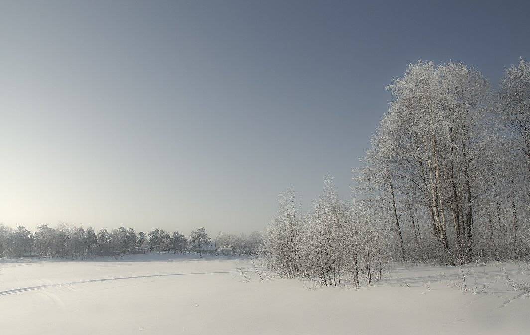 Морозное утро. Автор: Владимир Георгиевич , Владимир Георгиевич