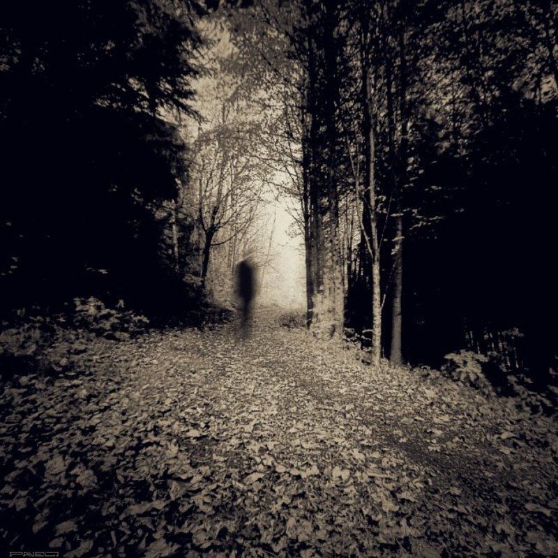 alone .photo preview