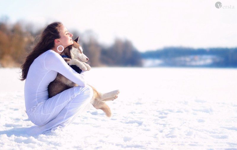 зима, холод, сніг, собака, вовк Зі мною вірний друг....photo preview