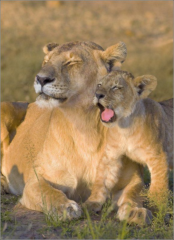 Доброе утро!photo preview