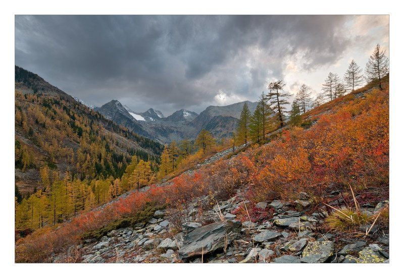 алтай, мульта, горы, золотая осень Геометрия осениphoto preview