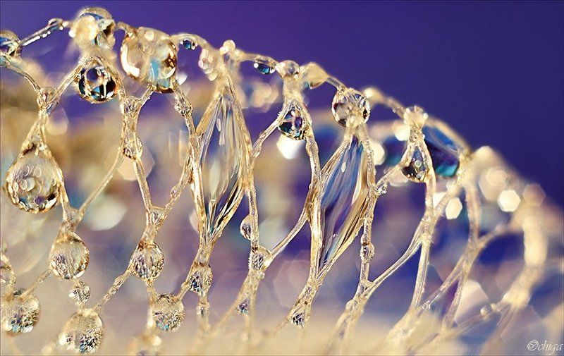 вода, капли ***photo preview