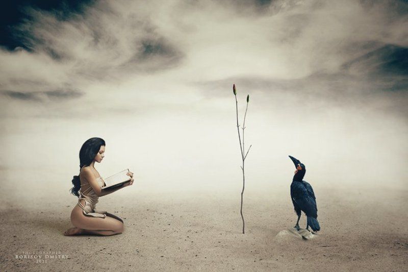 the tree of knowledge of good and evilphoto preview