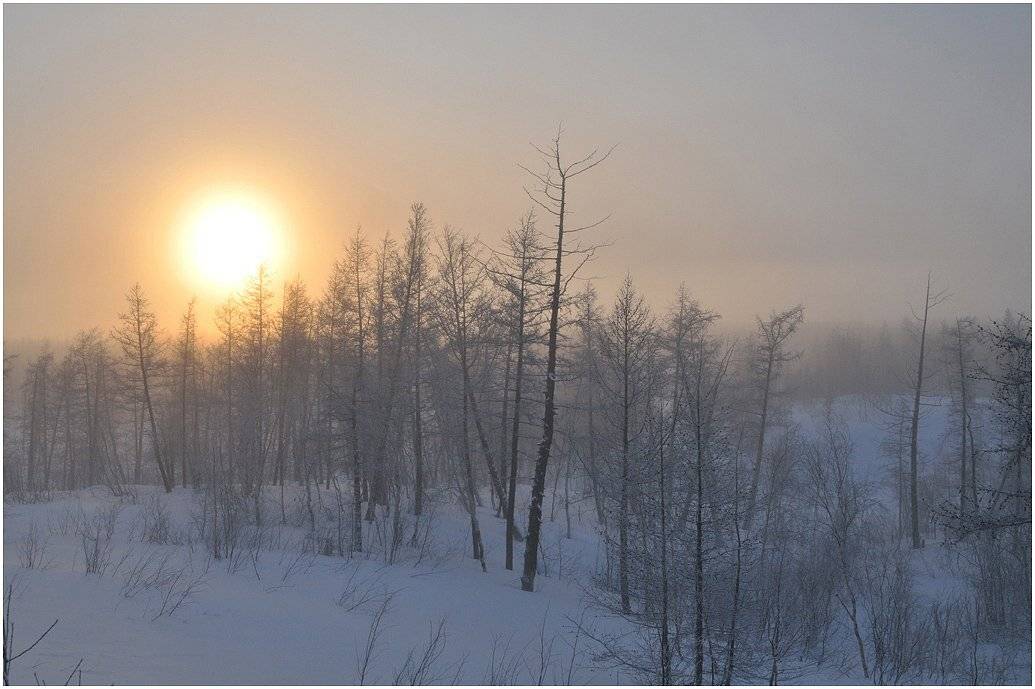 Шарик,который нужен всем!. Автор: Vladimir таймыр, Vladimir