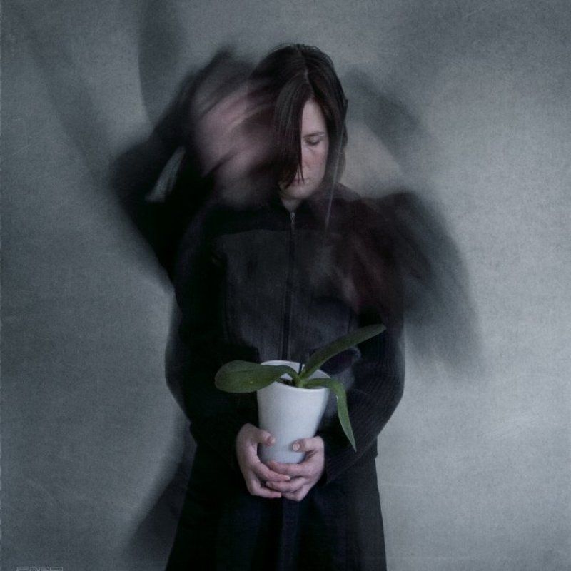 alone .photo preview