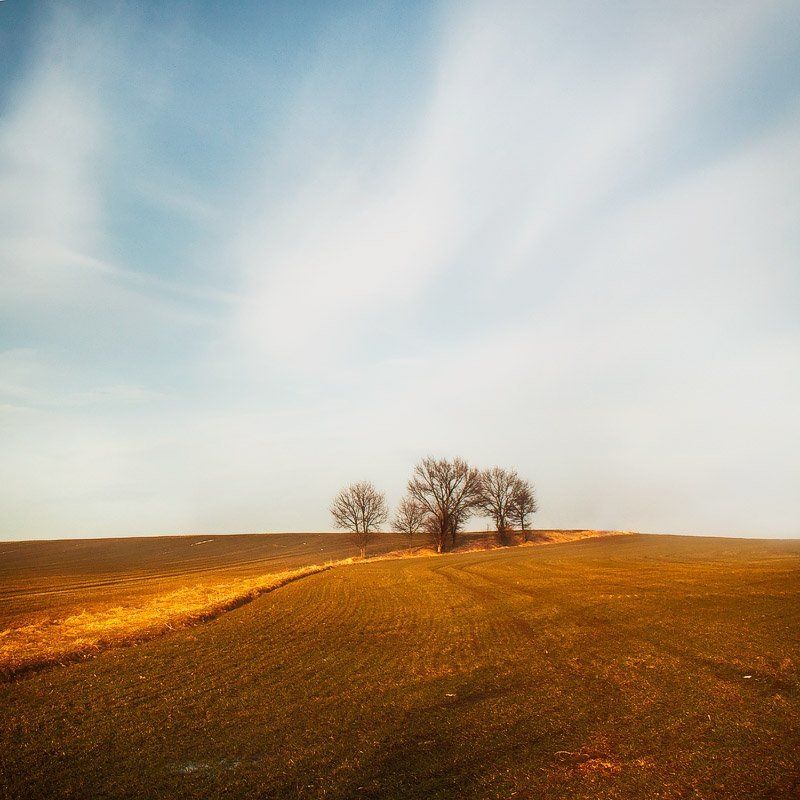 A little bit of springphoto preview