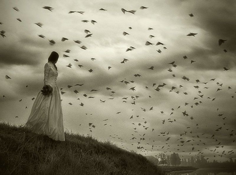 Недобрые вести фото превью