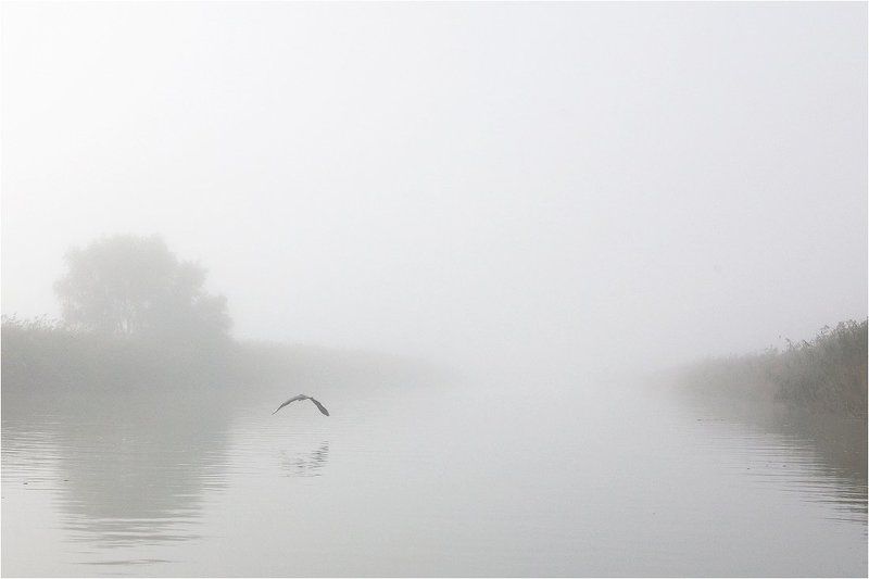 РЫБАЛКА В ТУМАНЕ или ГРЁЗЫ В ГЛУХОЗИМЬЕphoto preview