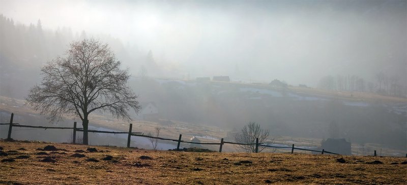 карпаты, зима, природа, пейзаж, панорама тишинаphoto preview