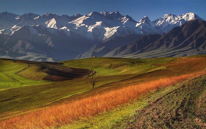 ...........photo preview