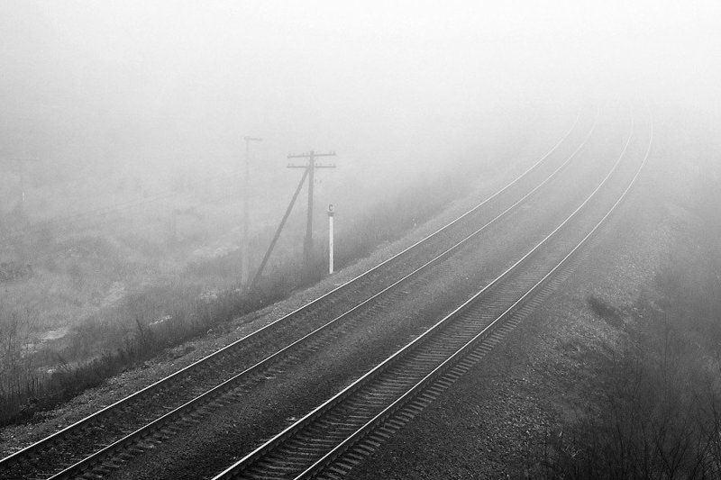 россия, тамбов, пейзаж, туман Road to Nowherephoto preview