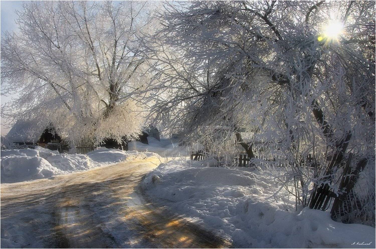 , Алексей Новиков