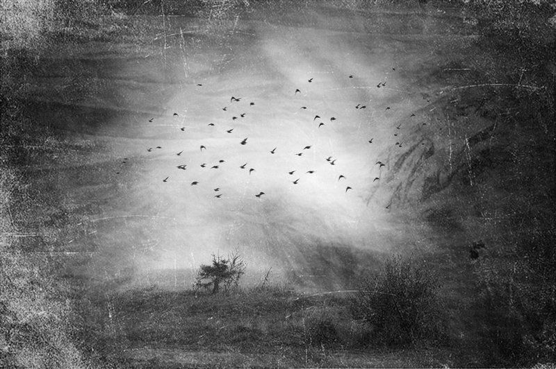 душа ...photo preview